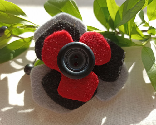 Kabátovka elegantní — foto 2