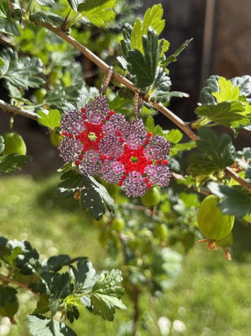 ? Rubínový květ Preciosa ? — foto 3