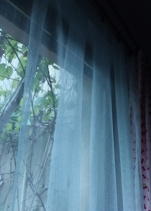 Záclona prší — foto 5