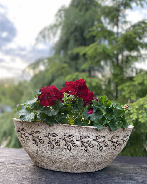 Velký truhlík — foto 3