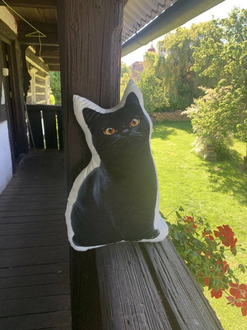 Polštář 3D - Kočka černá — foto 3