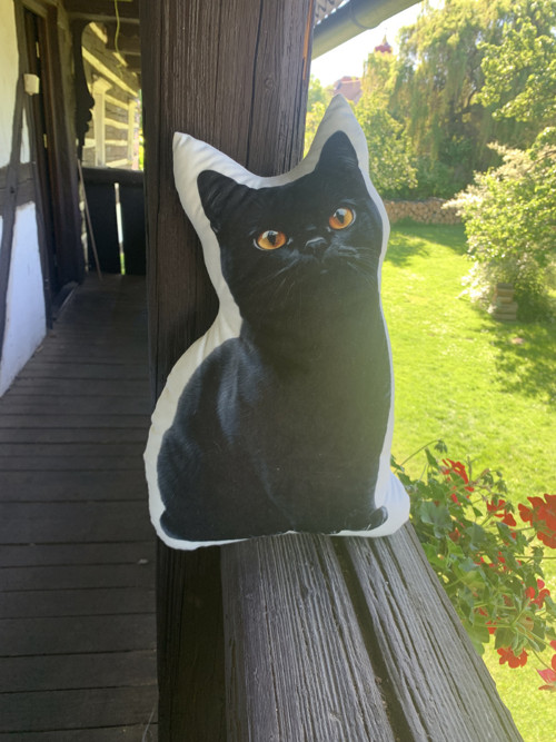 Polštář 3D - Kočka černá — foto 2