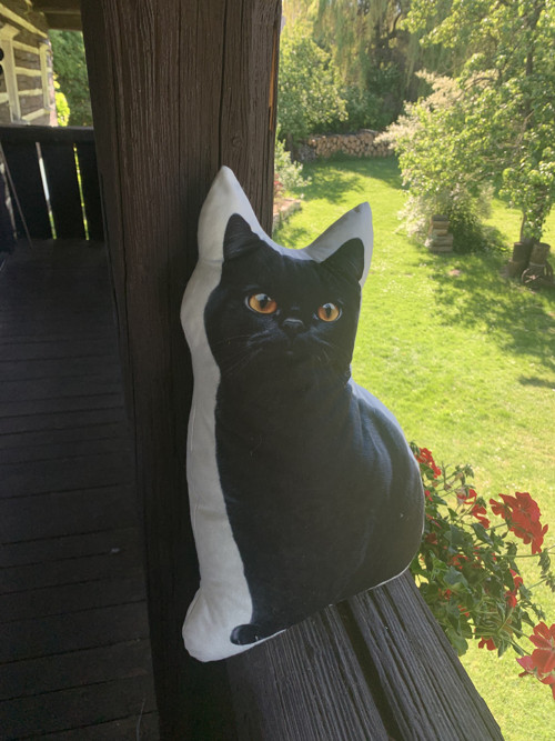 Polštář 3D - Kočka černá — foto 4