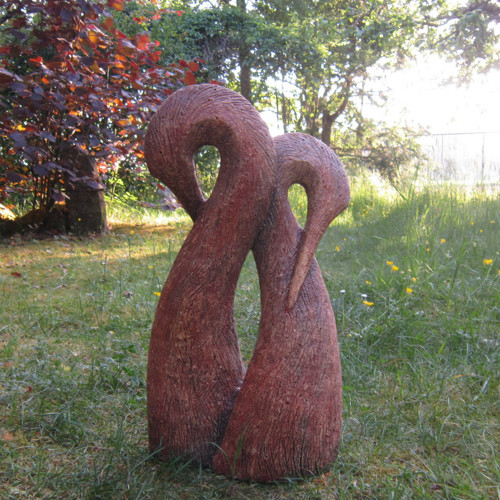 Pelikáni — foto 6