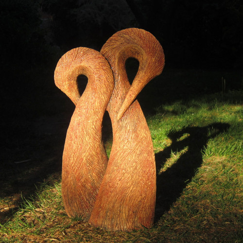 Pelikáni — foto 5