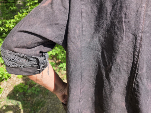 Sako Alligator sinensis — foto 6