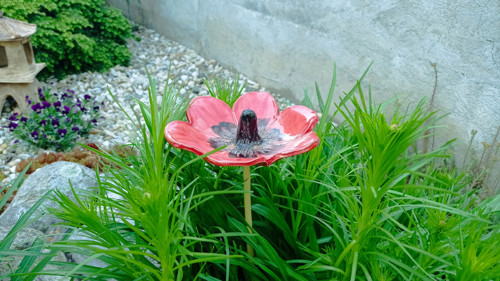 Květina - střední — foto 2