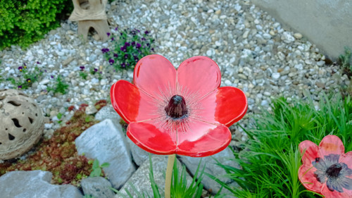Květina - střední — foto 2