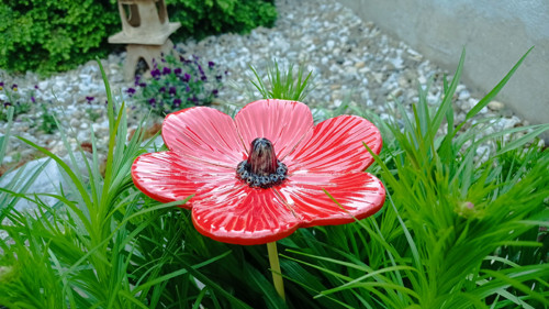 Květina - střední — foto 3