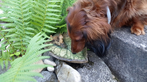 Pítko ve tvaru listu s majákem — foto 6