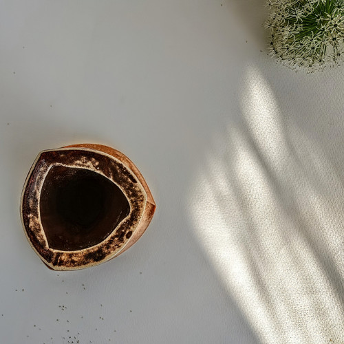 Chilli ostrá váza — foto 6