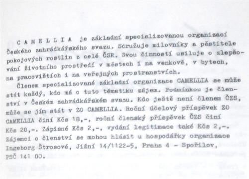 VELIKONOCE u nás doma, 1983 — foto 2