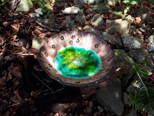 Studánka pro ptáčky, včelky a ježečky — foto 4