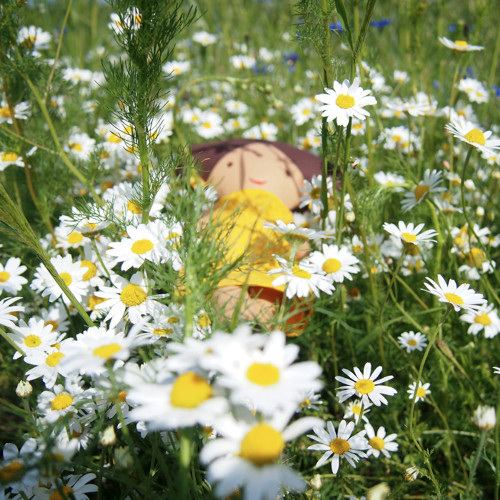 Panenka Daisy — foto 6
