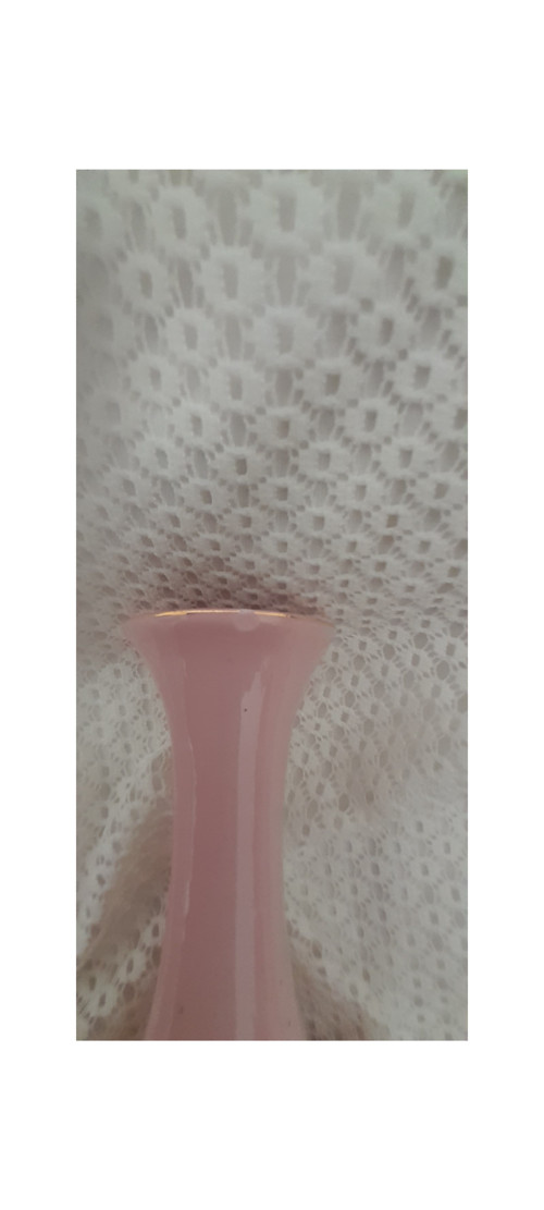 Vázička růžová — foto 3