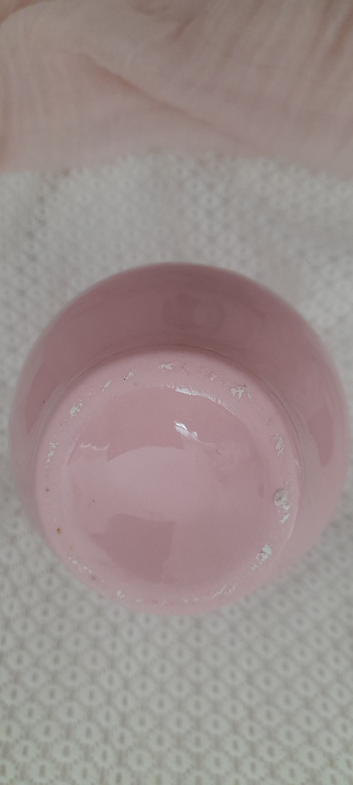 Vázička růžová — foto 2