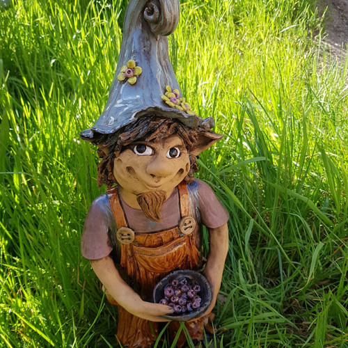 Trpaslík s borůvkami — foto 2