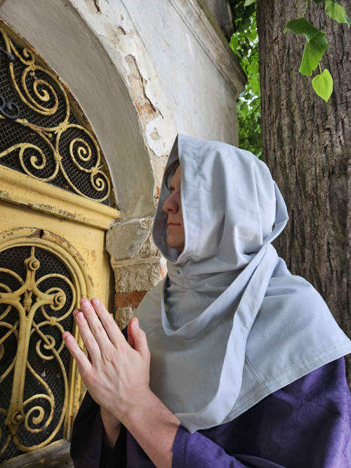 Kápě šedá / Grey Hood — foto 2