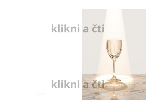 Přání rok bez alkoholu — foto 2