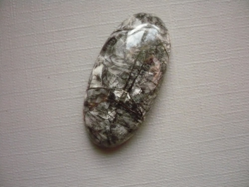 Kabošon - orthoceras 33 mm, č.3f — foto 2