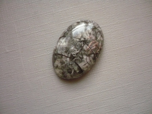 Kabošon - orthoceras 23 mm, č.7f — foto 2