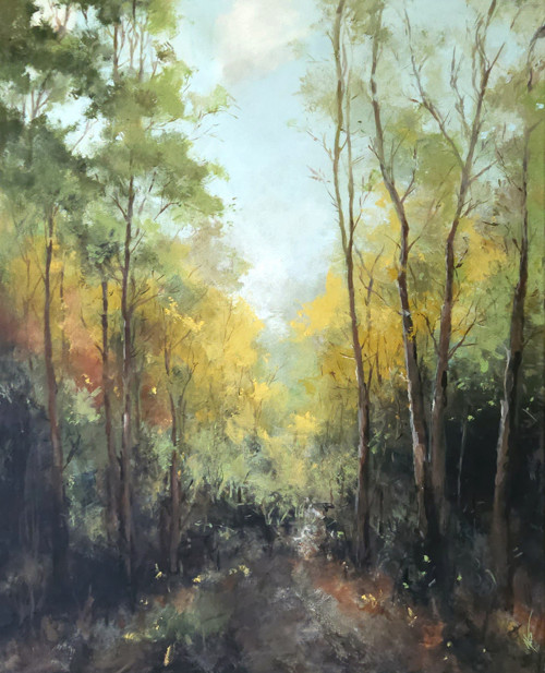 Mystérium lesa — foto 2