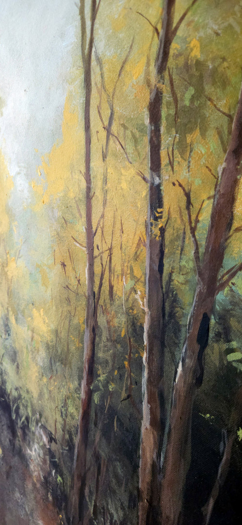 Mystérium lesa — foto 4