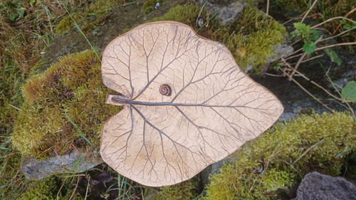 Pítko, krmítko nebo miska — foto 2