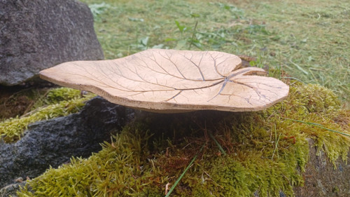 Pítko třeba pro včelky nebo čmeláky — foto 3