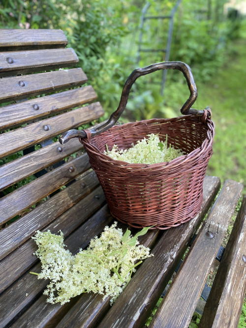 Košík na bylinky - ihned k dodání — foto 6