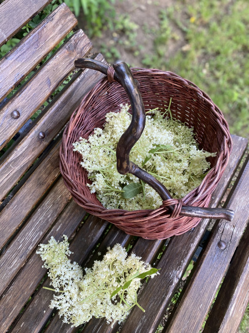 Košík na bylinky - ihned k dodání — foto 2
