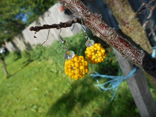 Kulička ve žlutém kabátku — foto 2
