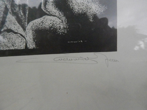 Grafika - Obraz zarámovaný — foto 3