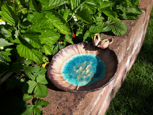 Studánka pro ptáčky, včelky i ježky — foto 3