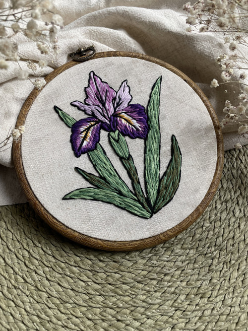 Komixový kosatec — foto 2