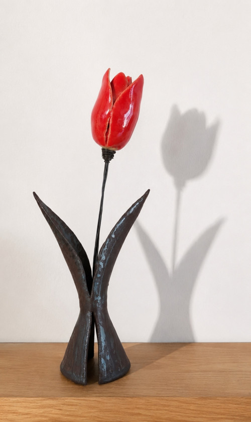 Tulipán — foto 2