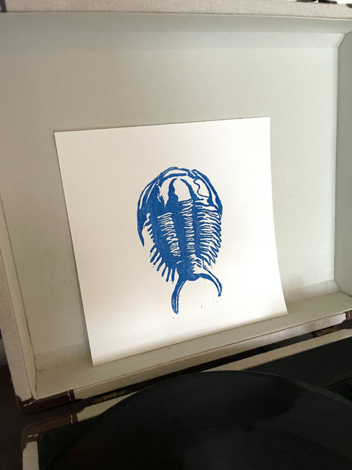 Trilobit na čtverci linoryt — foto 2