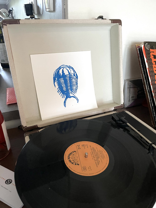 Trilobit na čtverci linoryt — foto 3