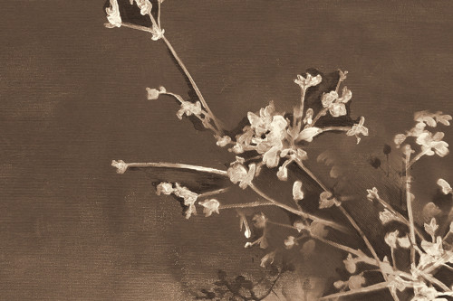 Vetvičky - Artprint — foto 3