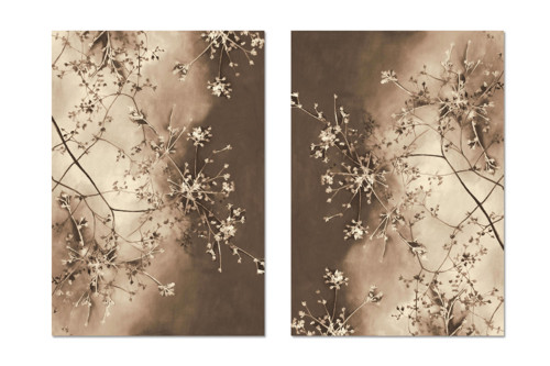 Vetvičky Duo Artprint — foto 3