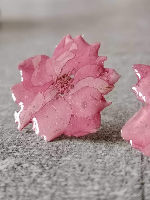 Náušnice růžové květy — foto 4