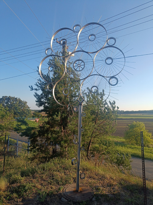Sedmikráska — foto 2