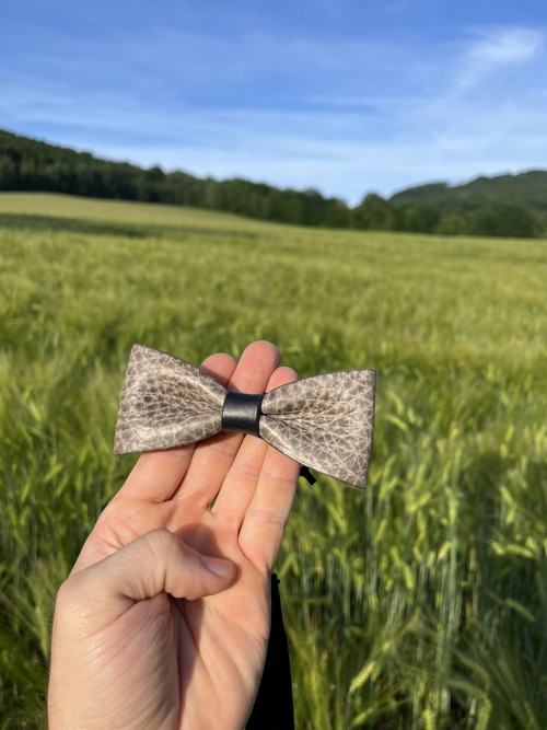 Kožený motýlek - slon — foto 2