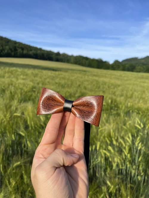 Kožený motýlek - carlo2 — foto 2