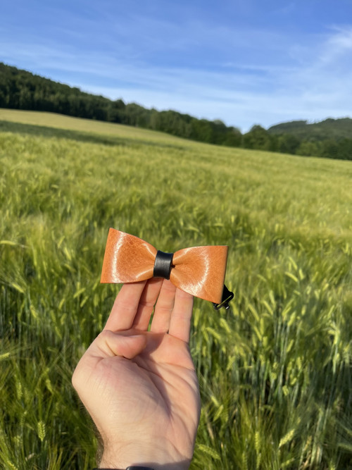 Kožený motýlek - hnědá č.4 — foto 3