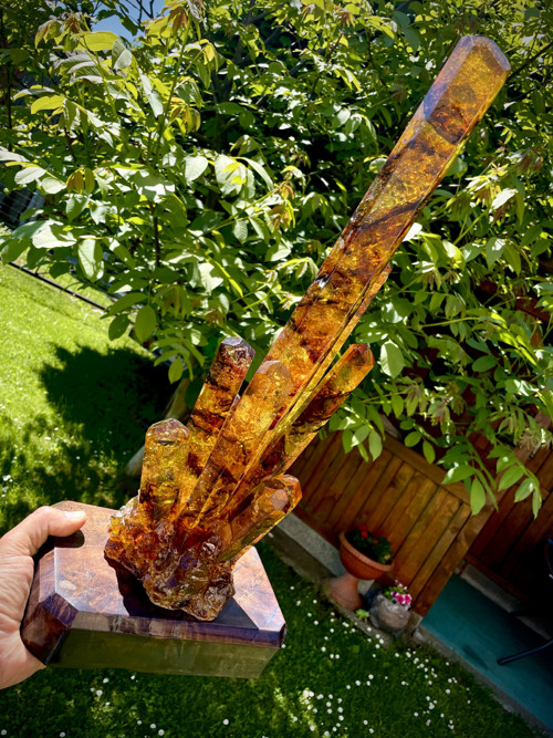 Jako jantar — foto 5