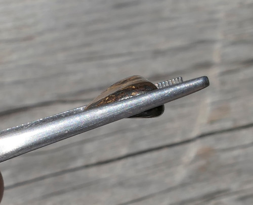 Bronzit (23 mm) V4099 — foto 2