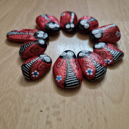 Červení broučci pro štěstí — foto 3