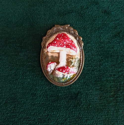 Muchomůrkový zápisník — foto 2