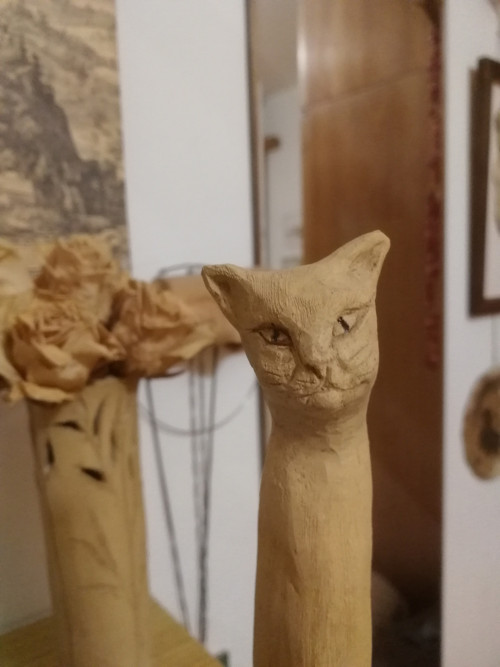 Kočička vysoká — foto 3
